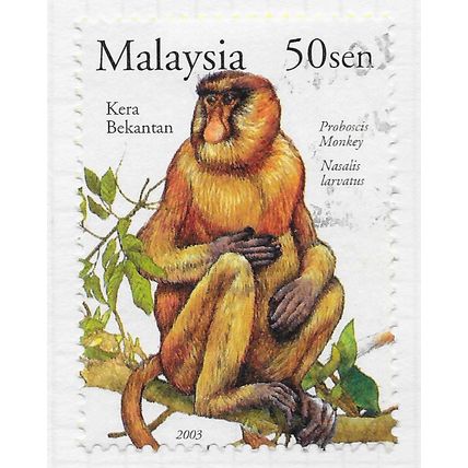 MALAYSIA 2003 PROBOSCIS MONKEY APE ANIMAL STAMP WEEK 50s USED