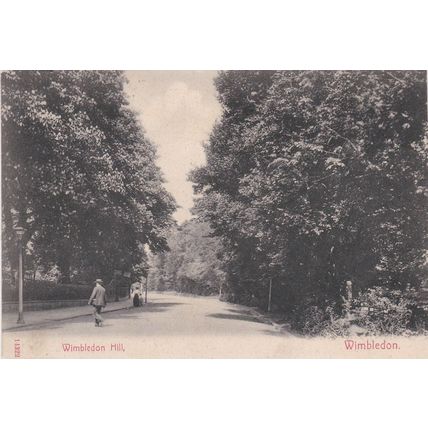 EC358 WIMBLEDON - WIMBLEDON HILL. 1905 PRINTED POSTCARD
