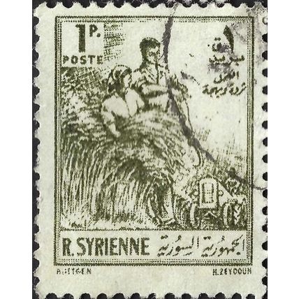 SYRIA, agriculture, olive 1954, 1P