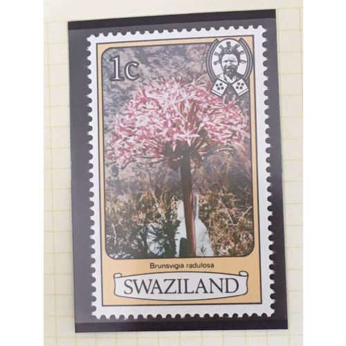 Swaziland 1980 Flowers 1c Brunsvigia radulosa Unmounted Mint NHM SG 340A stamp