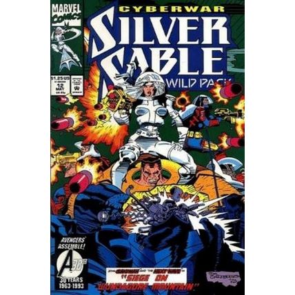 Silver Sable (Vol 1) # 012 NM MODERN AGE COMICS