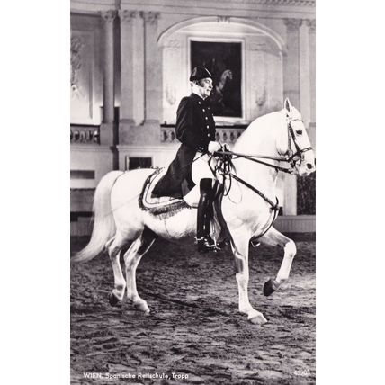 Wien Spanische Reitschule Tropp Spanish Riding School Austria Postcard