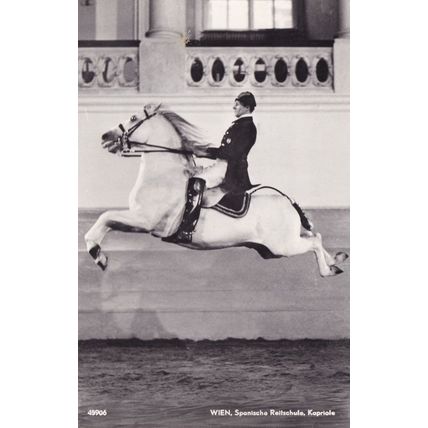 Wien Kapriole Spanische ReitSchule Spanish Riding School Postcard