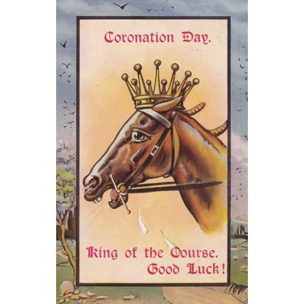 Coronation Day Horse Crown Racing Race King Of The Vintage Postcard