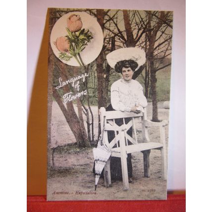LANGUAGE OF FLOWERS, ANEMONE, ROMANCE unused antique postcard by J Welch. /