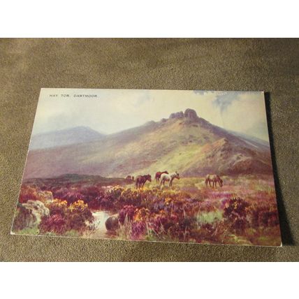 1950s Postcard - Hay Tor Dartmoor, Devon - Artist A145
