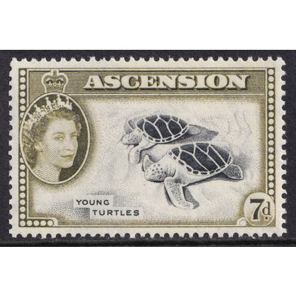 Ascension Island QEII 1956 7d Black Deep Olive Turtles SG65 Mint MNH