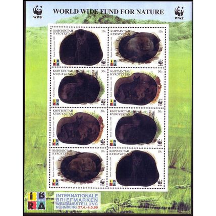Kyrgyzstan WWF Corsac Fox Holographic stamps Sheetlet of 2 sets 1999 MNH