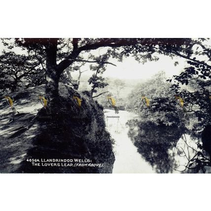 Llandrindod Wells, Lovers Leap, Wales, Photochrom Wedgwood, Postcard