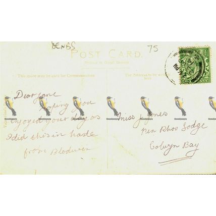 Ruthin Castle, Wales, Valentine's Series, Postcard, 1914