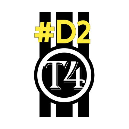 2 X T4 CAMPER DECAL BONNET STRIPES 2 DESIGNS MANY COLOURS