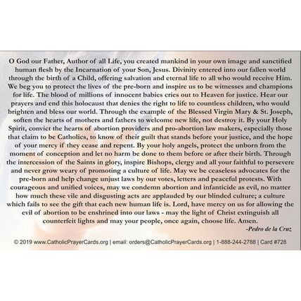 Prayer to End Abortion, 4x6 inches, 3 pack, plus Free Jesus and Mary Prayer card