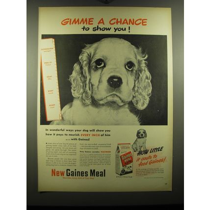 1948 Gaines Meal Dog Food Ad - Gimme a chance to show you