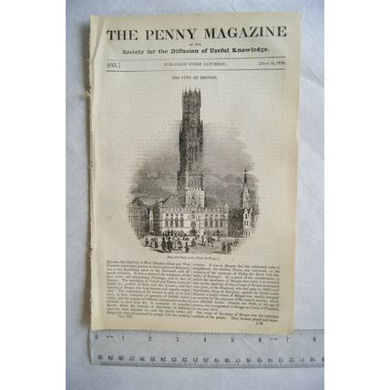 1838 The Penny Magazine No. 403 Bruges, Northumberland, Neilgherry Hills, goat