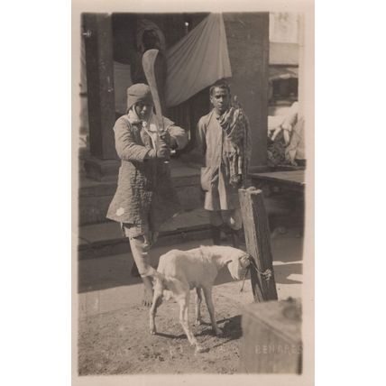 Goat Animal Sacrifice Butcher Benares Indian Antique Graphic Postcard