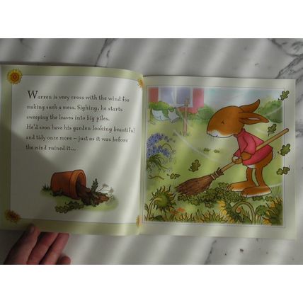 Warren & The Very Windy Day Illustrated Book Liane Payne 9781787412231 children