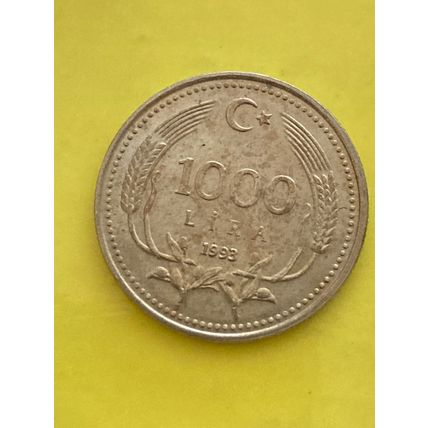 Umlaufmünze Türkei 1000 Lira 1993