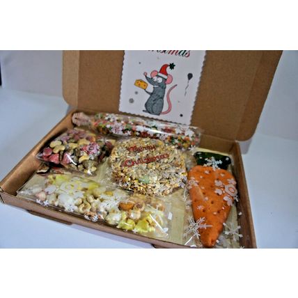 RAT TREAT CHRISTMAS GIFT BOX WITH XMAS CAKE POPCORN HONEY BAR CARROT & BISCUITS