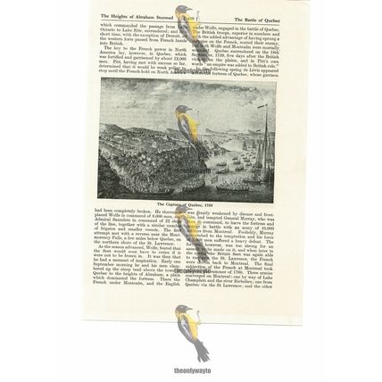 Capture Of Quebec, 1759, Canada, Book Illustration (Print), 1935