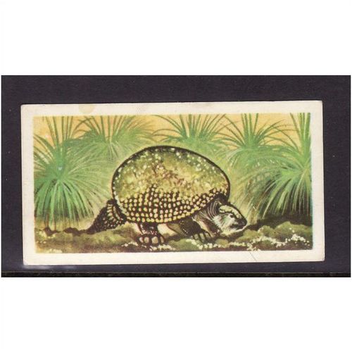 Brook Bond Prehistoric Animals Glyptodon No 47 Mint