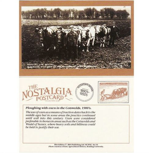 Postcard Ploughing with Oxen Snowshill Cotswolds 1900's Plough Farm - Nostalgia