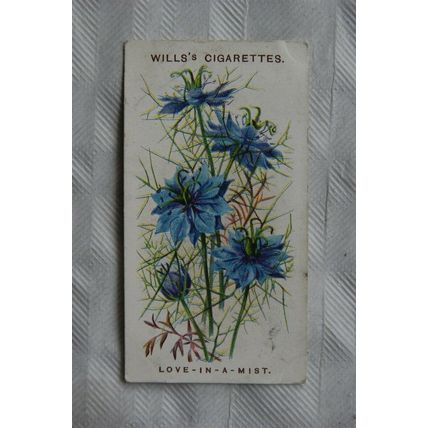 1913 Wills Old English Garden Flowers 2nd series No. 37 Love-in-a-Mist