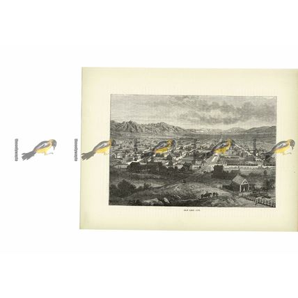 Salt Lake City, Utah, USA, Book Illustration (Print), c1880