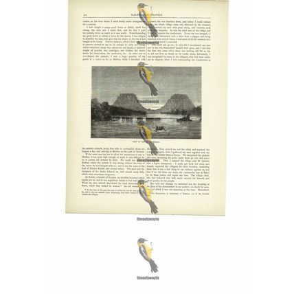 Upper Senegal River, Mali, Book Illustration (Print), c1880