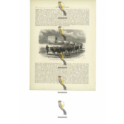Emigrant Wagon (Prairie Schooner), USA, Book Illustration (Print), c1880