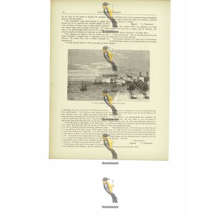 St Louis, Senegal, From The North, Book Illustration (Print), c1880