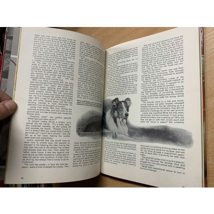 1970 "DAILY MIRROR BOOK OF PETS" ILLUSTRATED ANNUAL HARDBACK BOOK (P3) AB