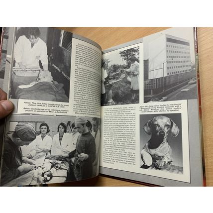1970 "DAILY MIRROR BOOK OF PETS" ILLUSTRATED ANNUAL HARDBACK BOOK (P3) AB