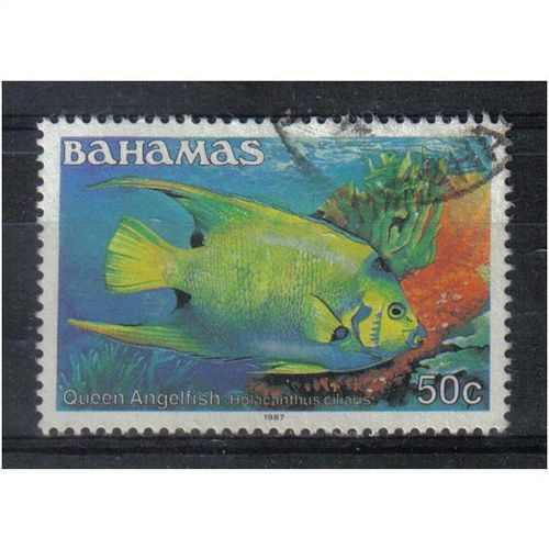 Bahamas 1986 50ct Fish used stamp SG 767a (39A)
