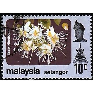 SELANGOR, 1985 10c Flowers unwatermarked, SG 167 (Scott #138a), used