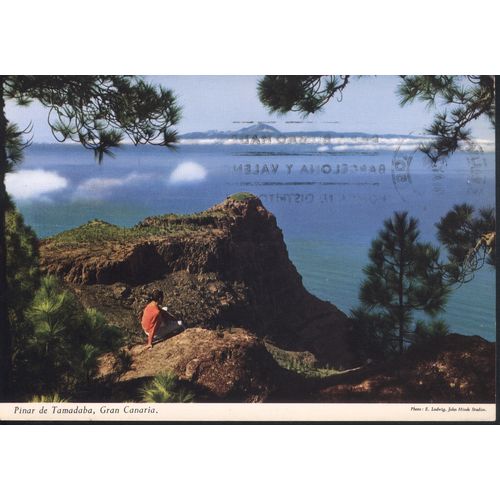 Spain Postcard 1970 - Pinar De Tamadaba, Gran Canaria