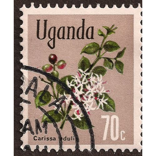 UGANDA, Carissa edulis, brown 1969, 70c