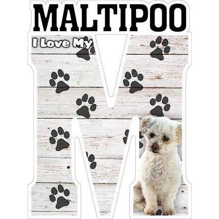 I Love My Maltipoo Fridge Magnet