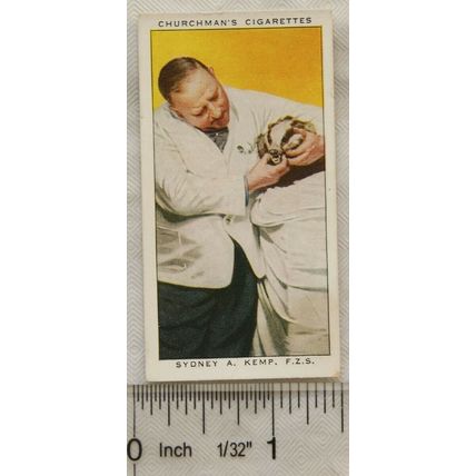 1938 Churchmans In Town Tonight No. 25 Sydney A. Kemp. Zoo Dentist