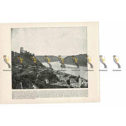 Rhine, Gutenfels & the Pfalz, Germany, Book Illustration (Print), 1899