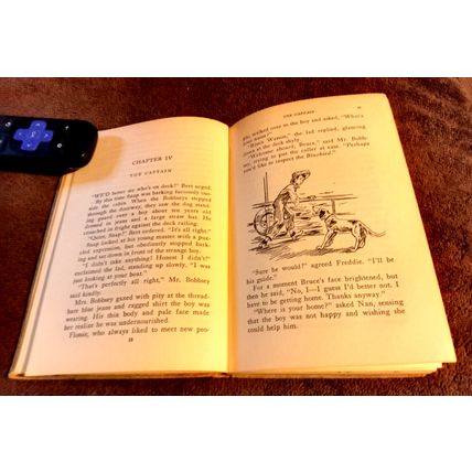 The Bobbsey Twins On A Houseboat 1955 By Laura Lee Hope Great Shape