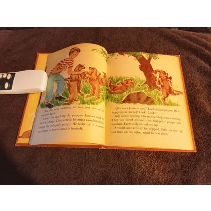 Wonder Book Hoppy The Puppy By Barbara S. Bates 1950 Great Shape