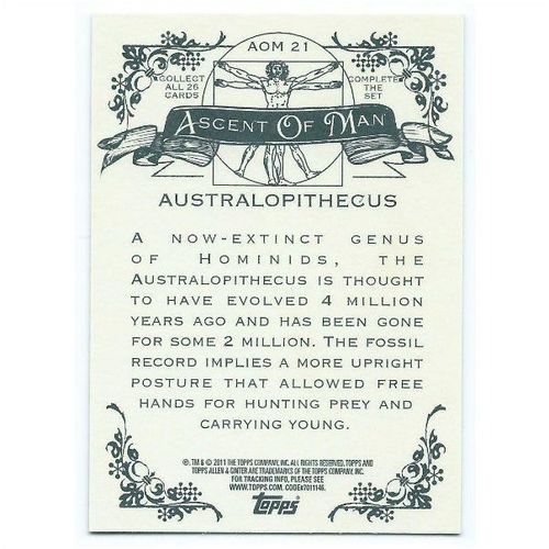 2011 Topps Allen and Ginter Ascent of Man - #AOM-21 - Australopithecus