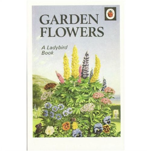 Postcard Garden Flowers Ladybird Book Cover 1960 Nature John Leigh Pemberton