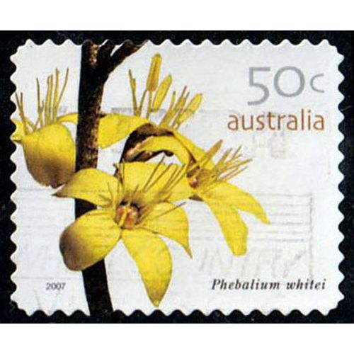 Australia 2007 Flower Phebalium Whitei 50c Used P&S Stamp. 11.5 Perf.