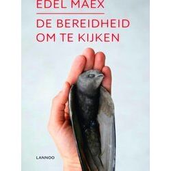 De Bereidheid Om Te Kijken