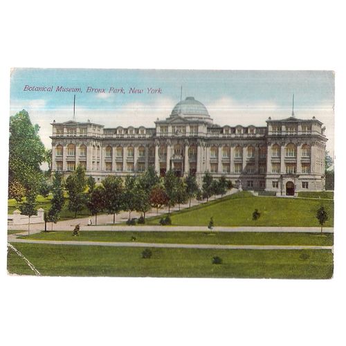 BOTANICAL MUSEUM, BRONX PARK, NEW YORK CITY, USA unused vintage postcard #