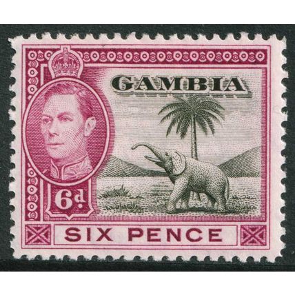 Gambia KGVI 1938-46 6d Olive-Green Claret Elephant SG155 Mint MH