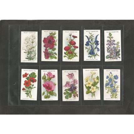 Flowers A full set of Wills Cigarette Cards Old English Garden Flowers 2nd 1915