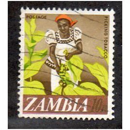 ZAM 1968 10n 'PICKING TOBACCO' FINE USED (EBID14303)