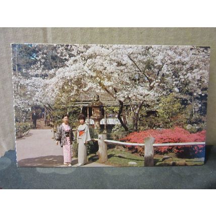 JAPANESE TEA GARDEN, GOLDEN GATE PARK, SAN FRANCISCO .unused postcard =